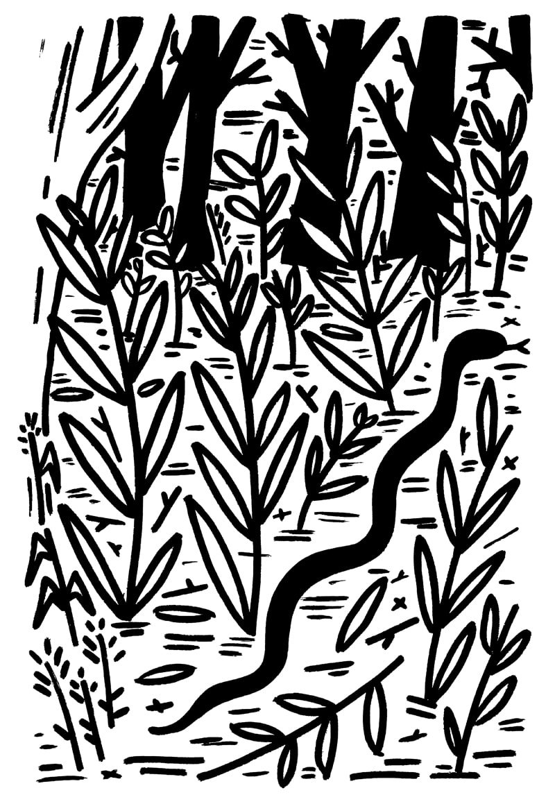 SNAKE-10cropped(1)-min.jpg