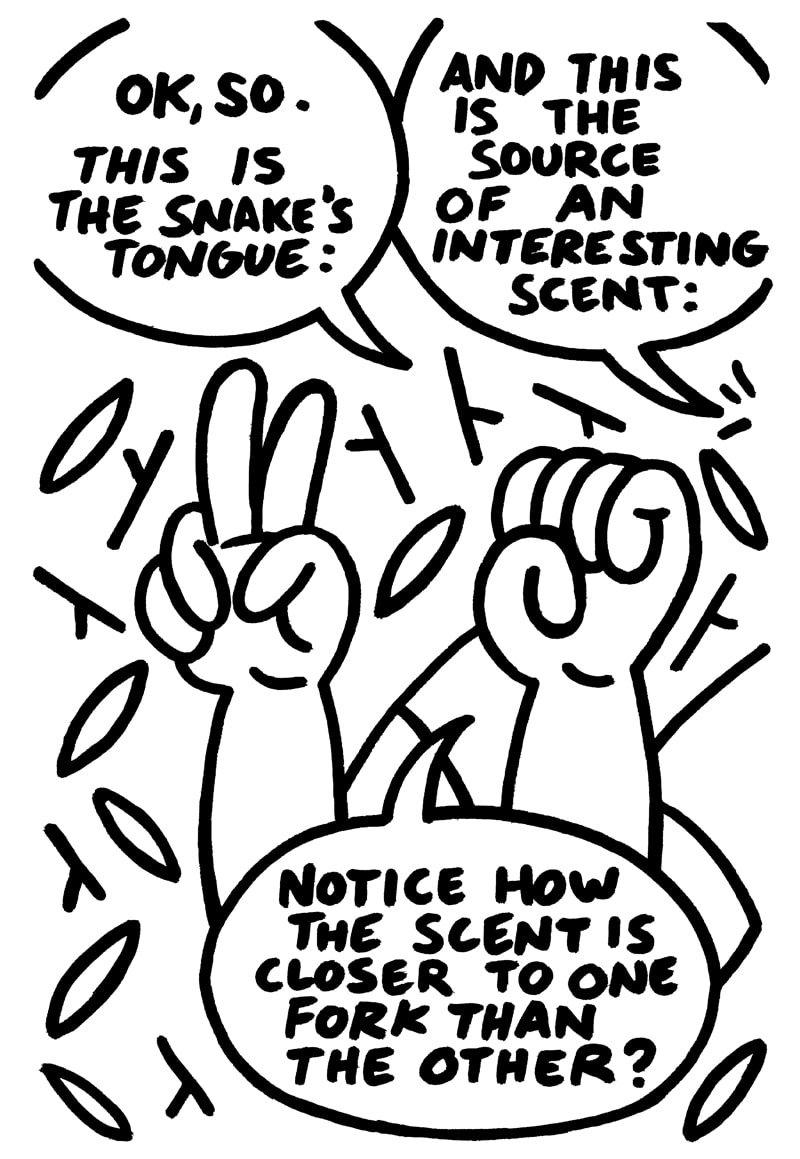 SNAKE-15corrected(1)-min.jpg