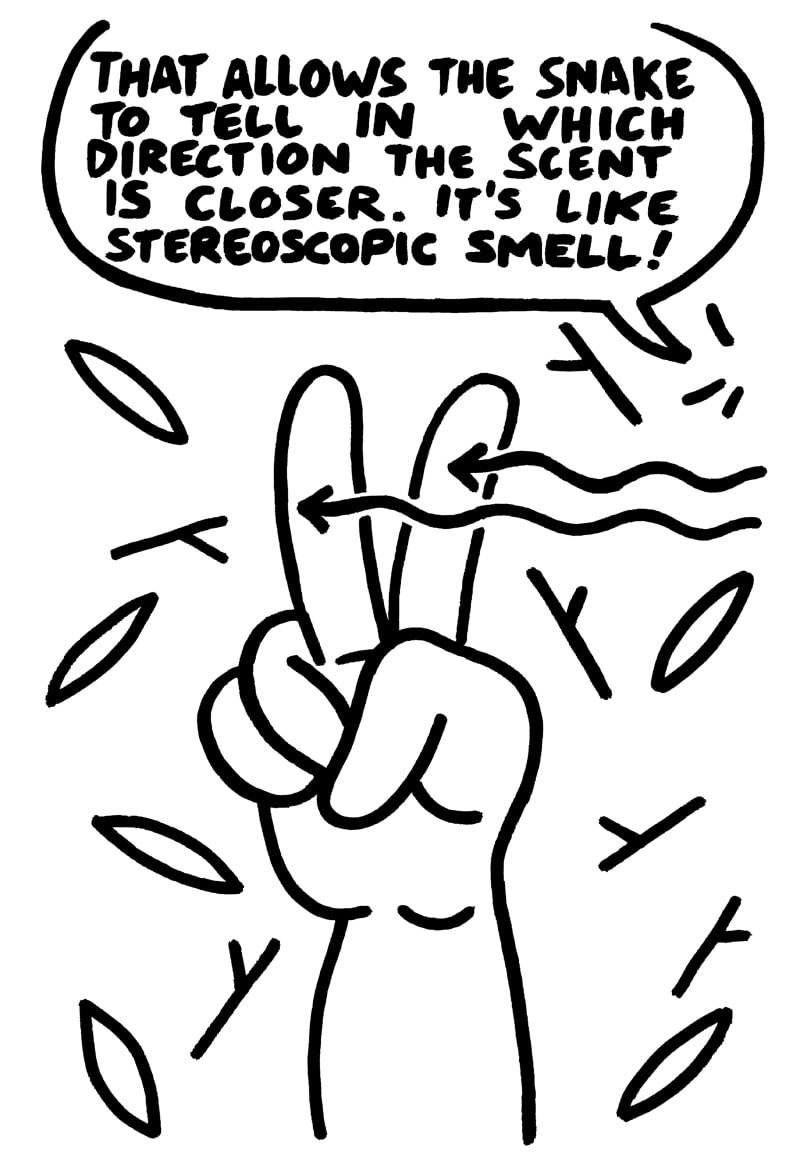 SNAKE-16corrected(1)-min.jpg