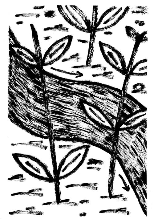 SNAKE-29corrected-min.jpg
