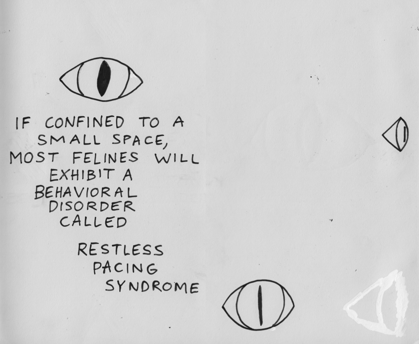 Thoughts_On_Cages_1-min.png