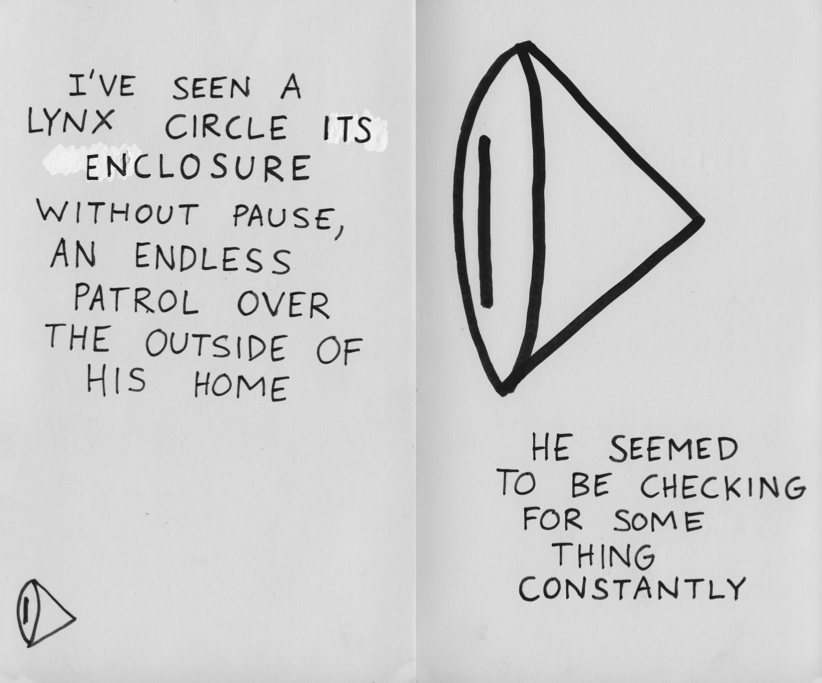 Thoughts_On_Cages_3-min.png