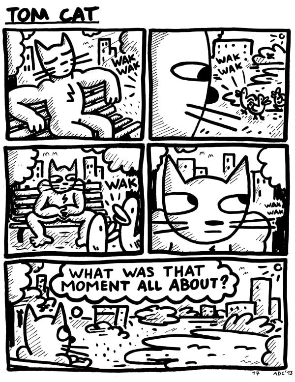 TomCat17-min.jpg